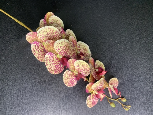 ЦС-41 ( Орхидея  силикон 9 голов  H-97 см. )