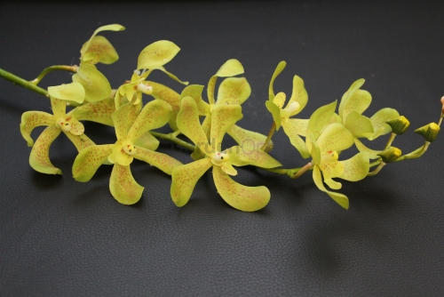 ЦС-04 (Орхидея Цимбиум силикон H-90  cм.)