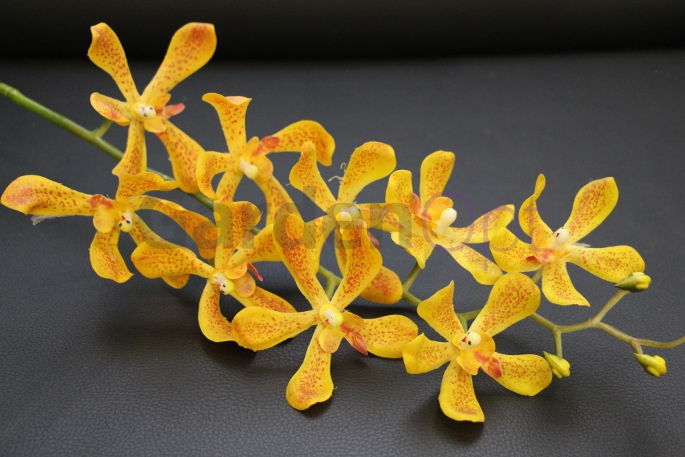 ЦС-06  (Орхидея Цимбиум силикон H- 90 см ).